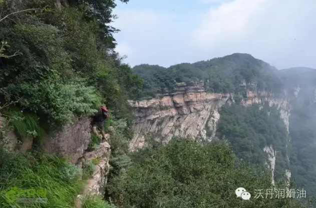 潤滑油代理品牌